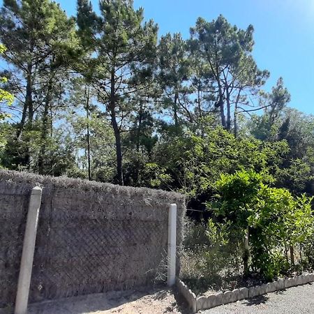 Appartamento La Forêt des Rossignols - maison 4 à 6 personnes Saint-Jean-de-Monts Esterno foto