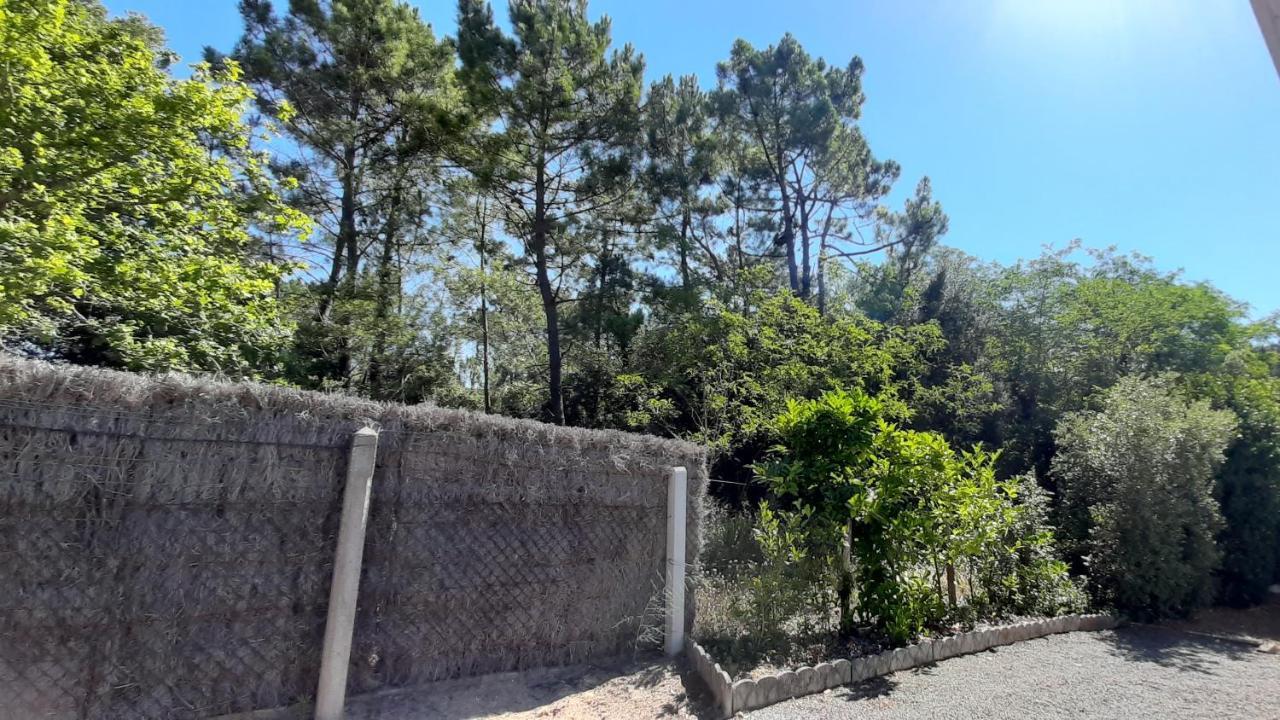 Appartamento La Forêt des Rossignols - maison 4 à 6 personnes Saint-Jean-de-Monts Esterno foto